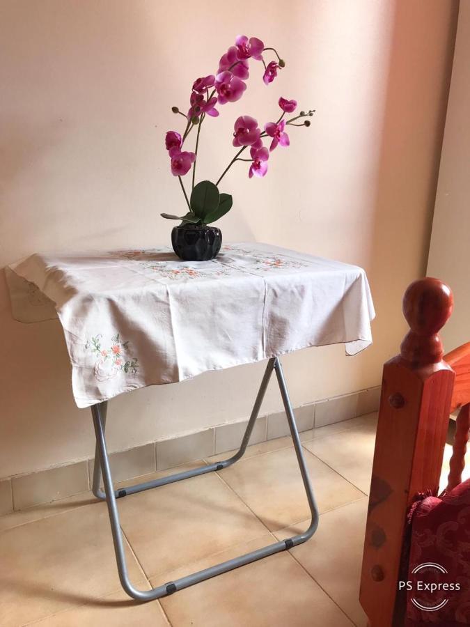 Escale Au Jardin Des Plantes Apartment ฟอร์-เดอ-ฟร็องส์ ภายนอก รูปภาพ