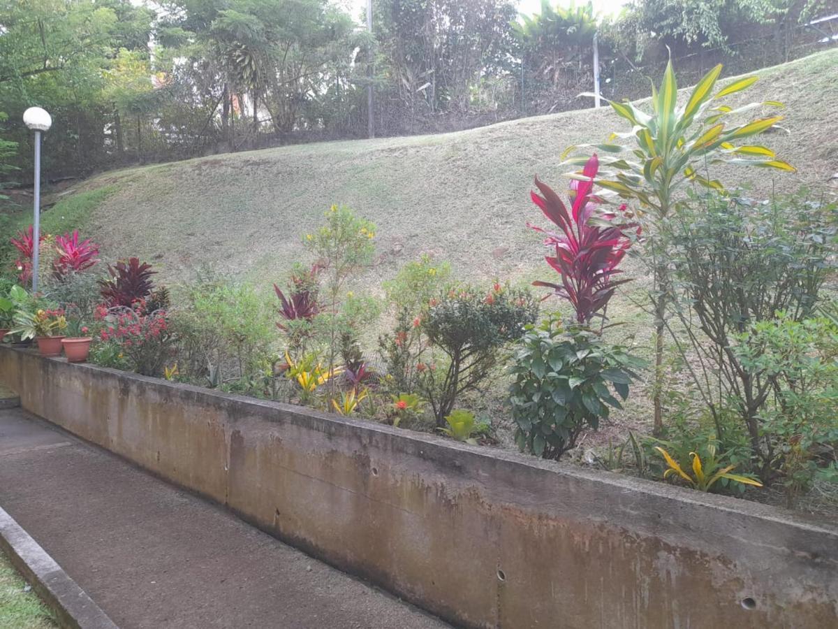 Escale Au Jardin Des Plantes Apartment ฟอร์-เดอ-ฟร็องส์ ภายนอก รูปภาพ